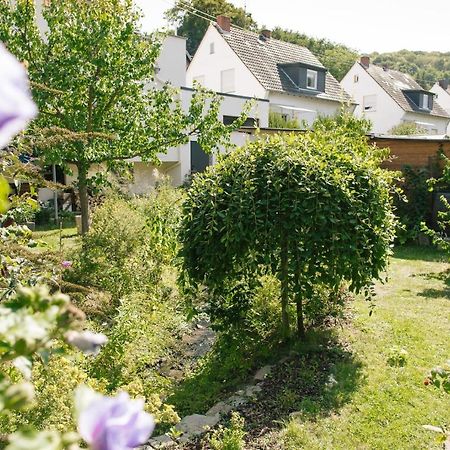 Ferienwohnung Am Breyer Talbach Екстериор снимка